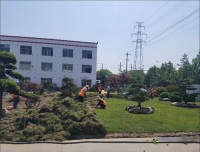 天津绿化设计施工
